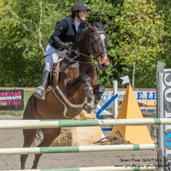 Photographie d'équitation - Championnat de Bretagne 2017 de saut d'obstacles - Morbihan